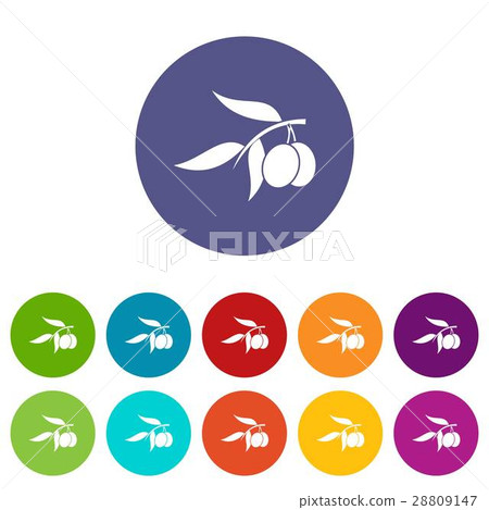 Olive tree branch with two olives set icons Olive tree branch with two olives set icons 28809147