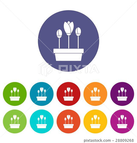 Tulips in box set icons Tulips in box set icons 28809268