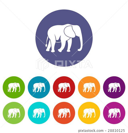 Wild elephant set icons Wild elephant set icons 28810125