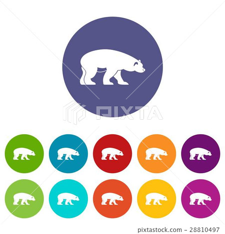 Bear set icons 28810497