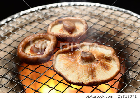 Baked mushrooms Baked mushrooms 28813071