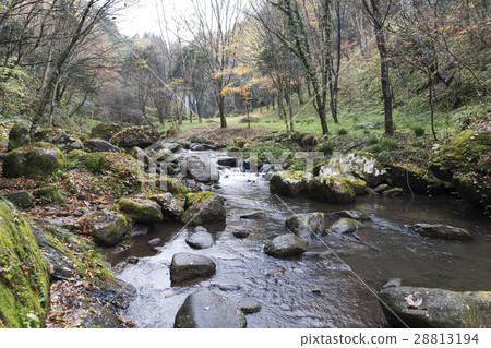 Yuusui gorge Yuu nature forest 28813194