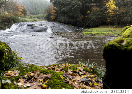 Yuusui gorge Yuu nature forest Yuusui gorge Yuu nature forest 28813214