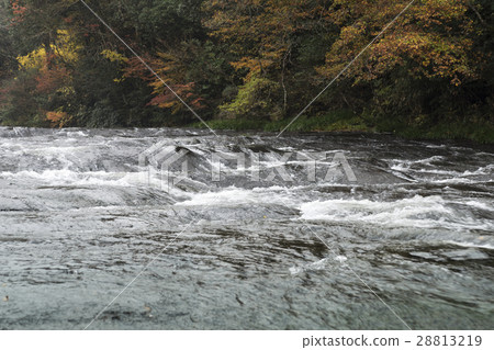 Yuusui gorge Yuu nature forest Yuusui gorge Yuu nature forest 28813219