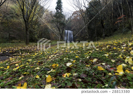 Yuusui峽谷Yuu自然森林 28813380