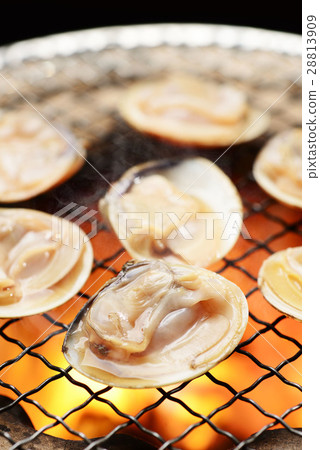 Baked clams 28813909
