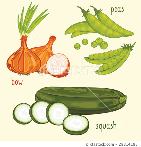 插图素材: vegetable mix raster 查看全部