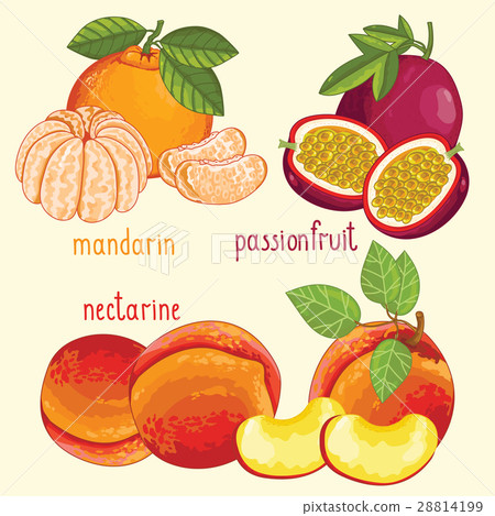 Fresh fruit mix isolated, raster illustration 28814199