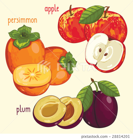Fresh fruit mix isolated, raster illustration 28814201