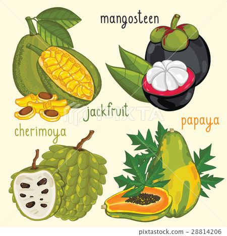 Fresh fruit mix isolated, raster illustration 28814206