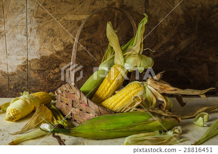 Still life with corn 28816451