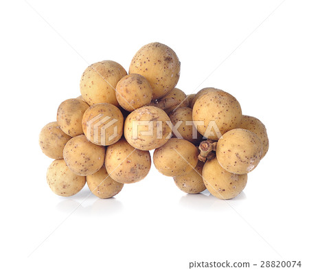 Longkong isolated on a white background Longkong isolated on a white background 28820074