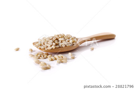 pearls barley grain seed on background pearls barley grain seed on background 28821796
