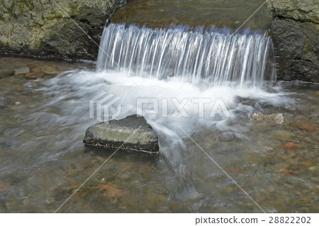 三分之一的春天 三分之一的春天 28822202