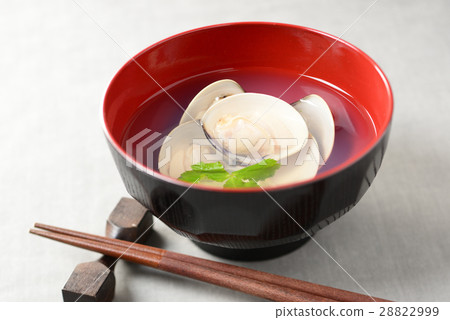 湯湯 28822999