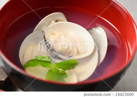 Soup of soup 28823000