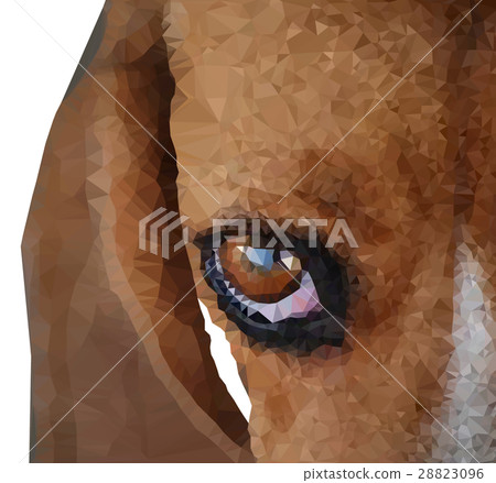 beagle dogs beagle dogs 28823096