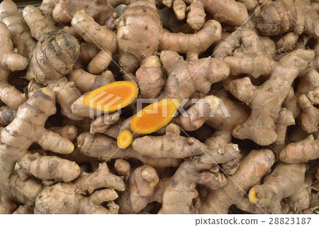 Turmeric, ginger, spicy, spicy, medicinal herbs, seasonings 28823187