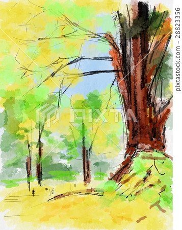 Ginkgo tree illustration Ginkgo tree illustration 28823356