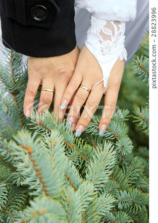 wedding theme, holding hands wedding theme, holding hands 28823996