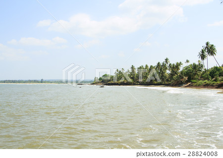 sand beach with palm trees sand beach with palm trees 28824008