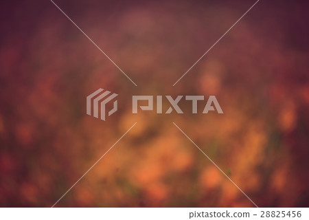 Abstract blurred bokeh Abstract blurred bokeh 28825456