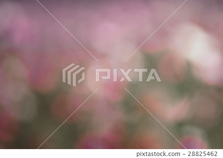 Abstract blurry bokeh spring background Abstract blurry bokeh spring background 28825462
