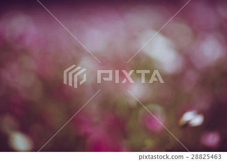 Abstract blurry bokeh spring background Abstract blurry bokeh spring background 28825463