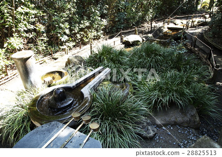 Yuzuri no Mizu (Forest of the Millennium: Hadano City) Yuzuri no Mizu (Forest of the Millennium: Hadano City) 28825513