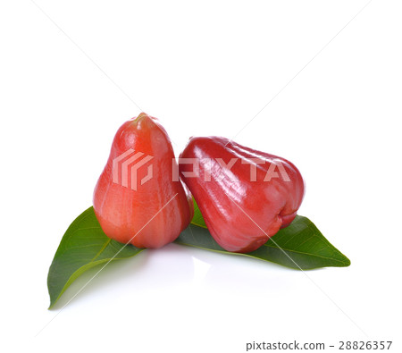 Rose apples or chomphu on white background. Rose apples or chomphu on white background. 28826357