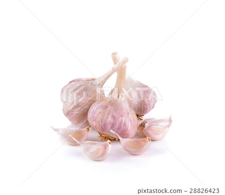 Fresh garlic  on white background Fresh garlic  on white background 28826423