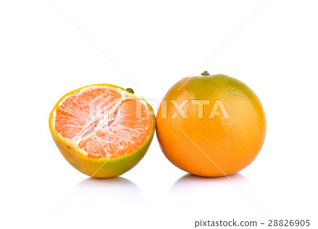 tangerine on white background 28826905