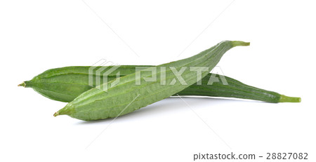 Fresh luffa vegetable  on white background 28827082