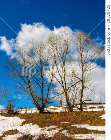last days of winter in rural landscape last days of winter in rural landscape 28828728