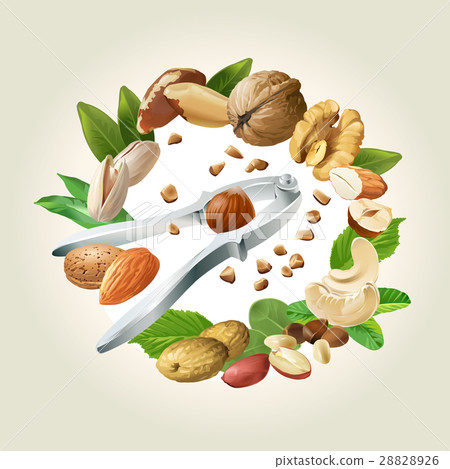 illustration of nutcracker and nuts 28828926