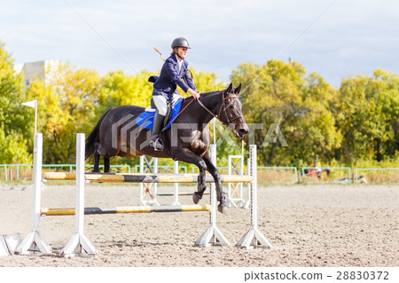 Sportswoman jumping over obstacles on competition 28830372