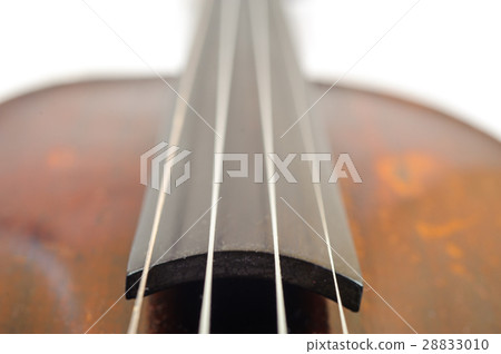 a violin image on the white background close up 28833010