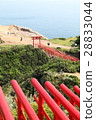 前Nogami Inari神社 28833044