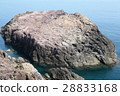 Ryugu噴出 28833168