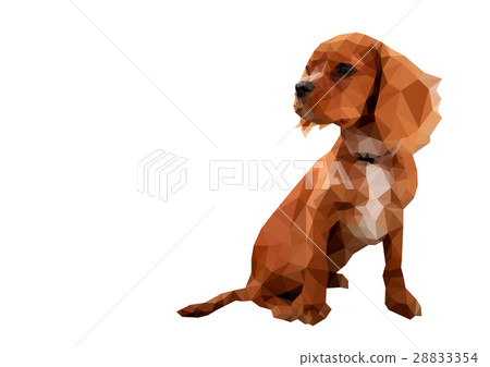 Dog made of polygon (cavalier) Dog made of polygon (cavalier) 28833354