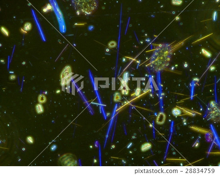 Asbestos micrograph 28834759