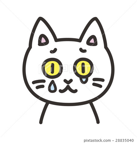哭泣的貓的性格表達 28835040