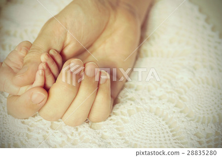 Baby and mother's hand Baby and mother's hand 28835280