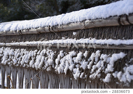 Winter fence 28836073