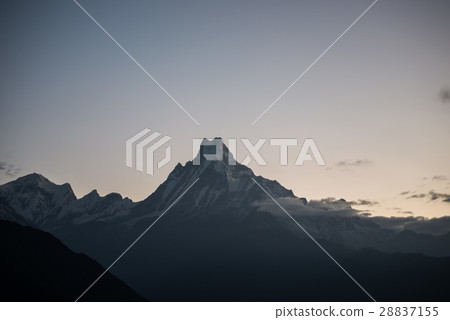 View from Tadapani, Mt.Machapuchare, at Nepal 28837155