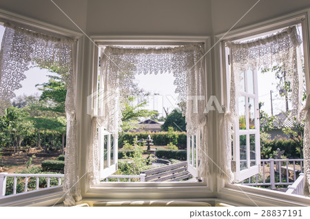 window with a garden in the back. window with a garden in the back. 28837191