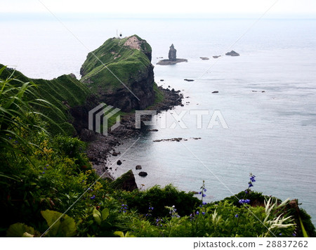 初夏的神之角 28837262