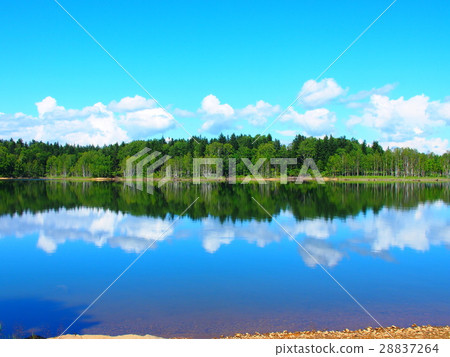 Horokanai鎮一棵樹在鏡面Shimakuchi湖反映 28837264