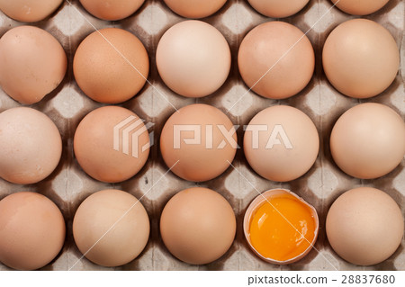 Eggs in the tray as a background. Top view Eggs in the tray as a background. Top view 28837680