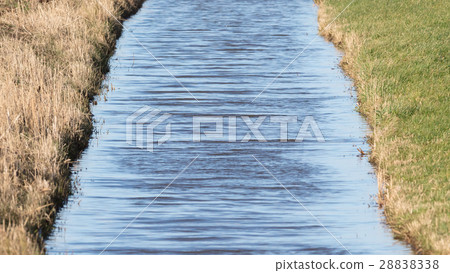 Ditch and meadows in waterland Friesland 28838338